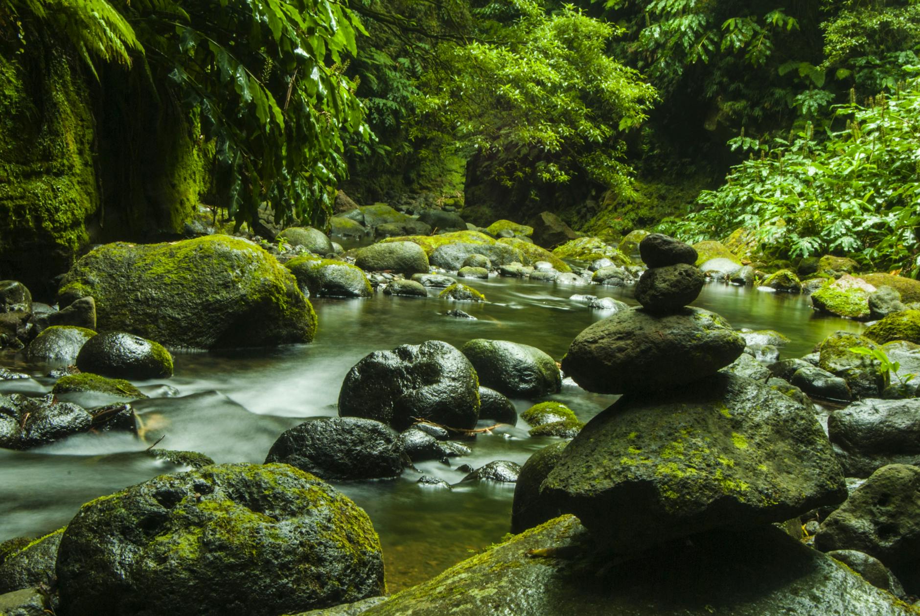 pile of rock in river surrounded by tree